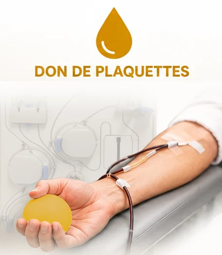 don de plaquettes